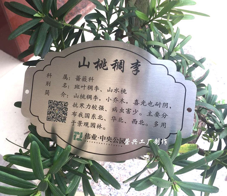 不锈钢名牌定制公园植物花草树木介绍悬挂挂牌金属铭牌