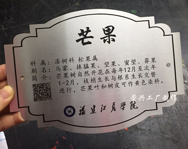不锈钢名牌定制公园植物花草树木介绍悬挂挂牌金属铭牌