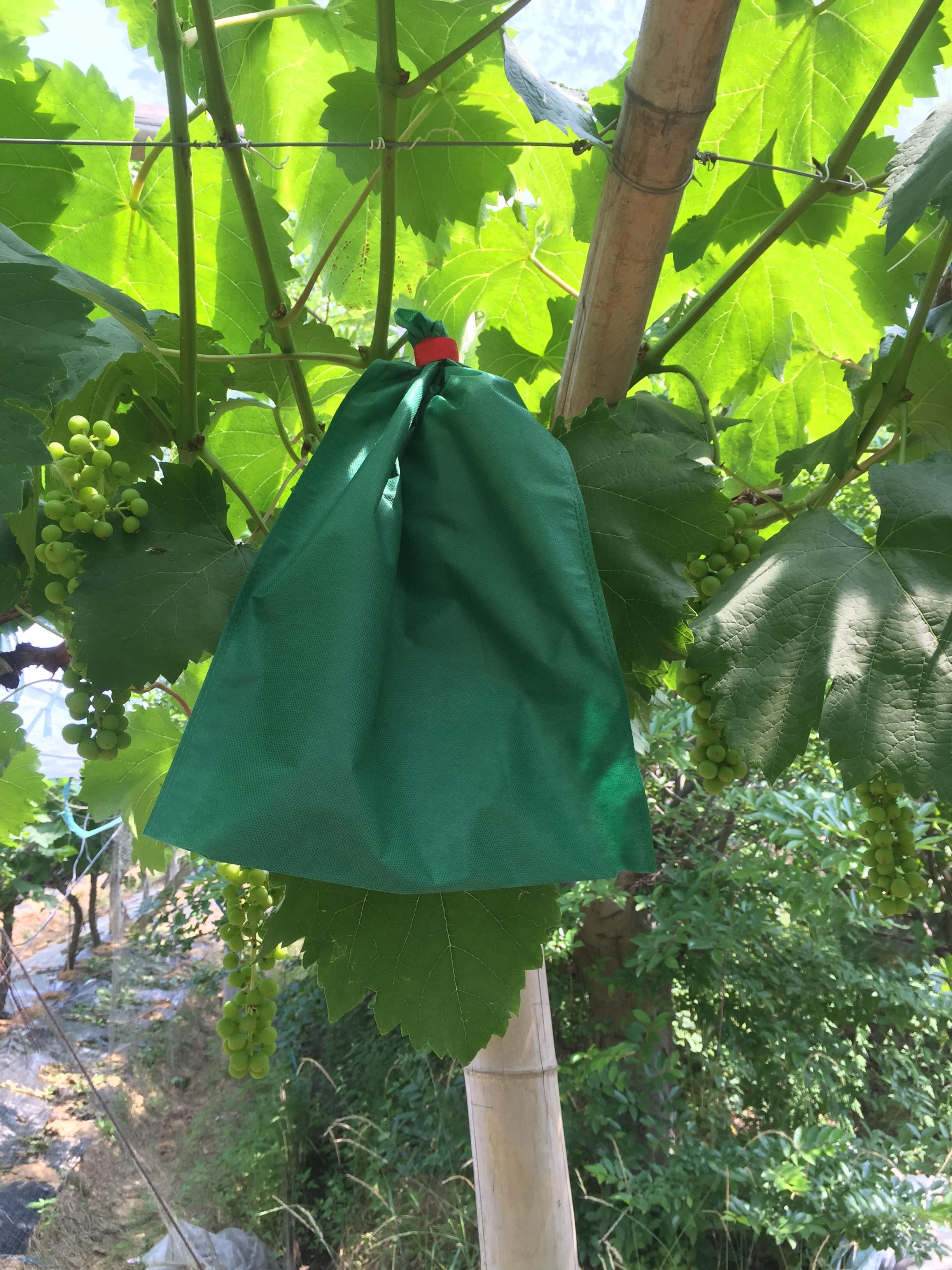 露天无纺布葡萄套袋柚子梨莲橙子育果保护袋防其它园艺用品