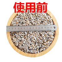 Special sand for roasted seeds