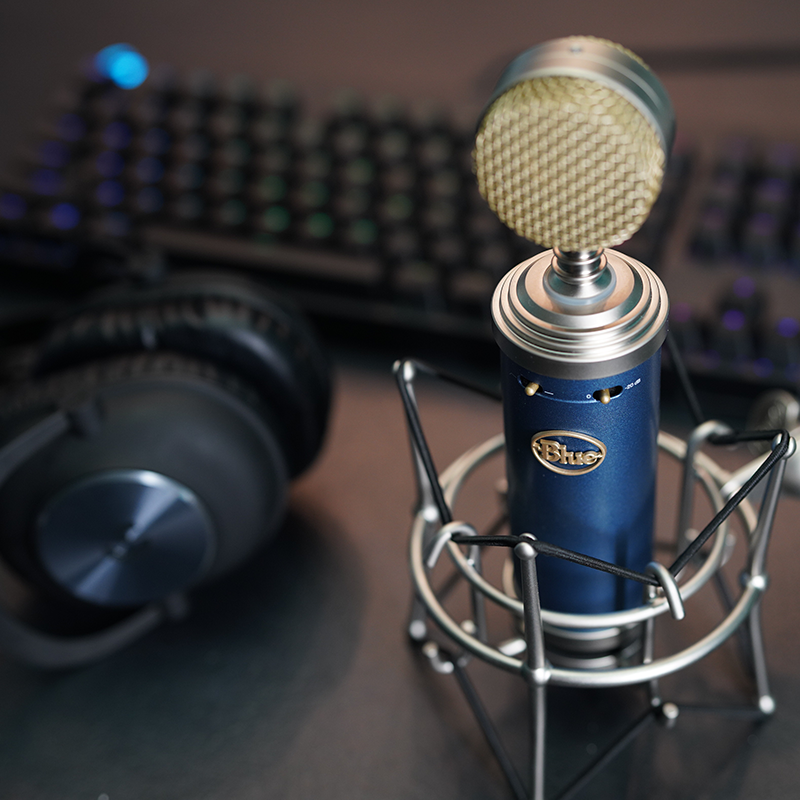 bluebluebirdsl蓝鸟电容麦克风大振新版编曲制作话筒
