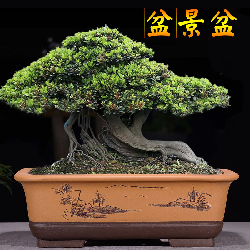 紫砂花盆特大号长方形盆景假山造景室内阳台种菜花盆