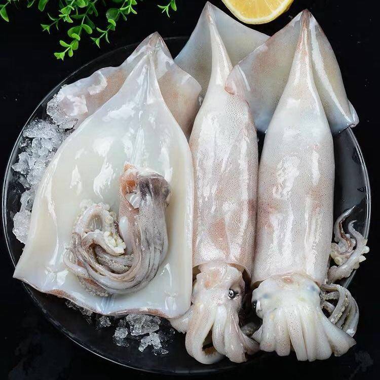 鱿鱼冷冻新鲜章鱼连云港本地白墨鱼墨鱼海鲜水产冷冻鱿鱼
