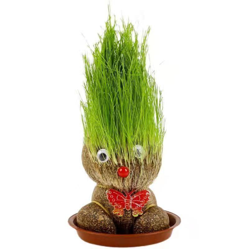 抖音长草草头娃娃同款情侣可爱创意小盆盆栽创意迷你植物