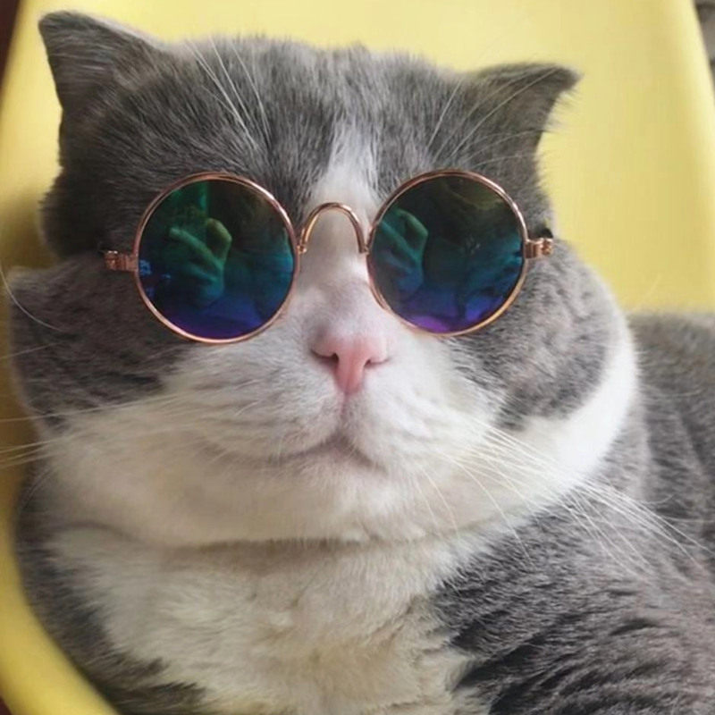 猫咪宠物猫眼眼镜墨镜复古酷猫搞怪拍照道具头饰