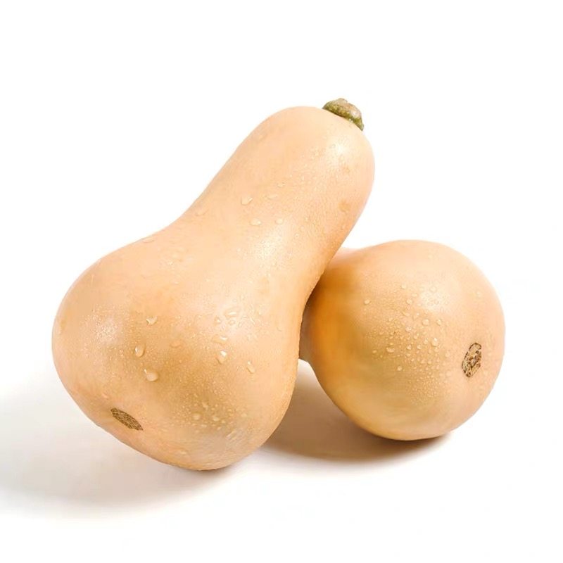 南瓜奶油新鲜小南瓜籽阿根廷板栗节节甜瓜孕妇其它