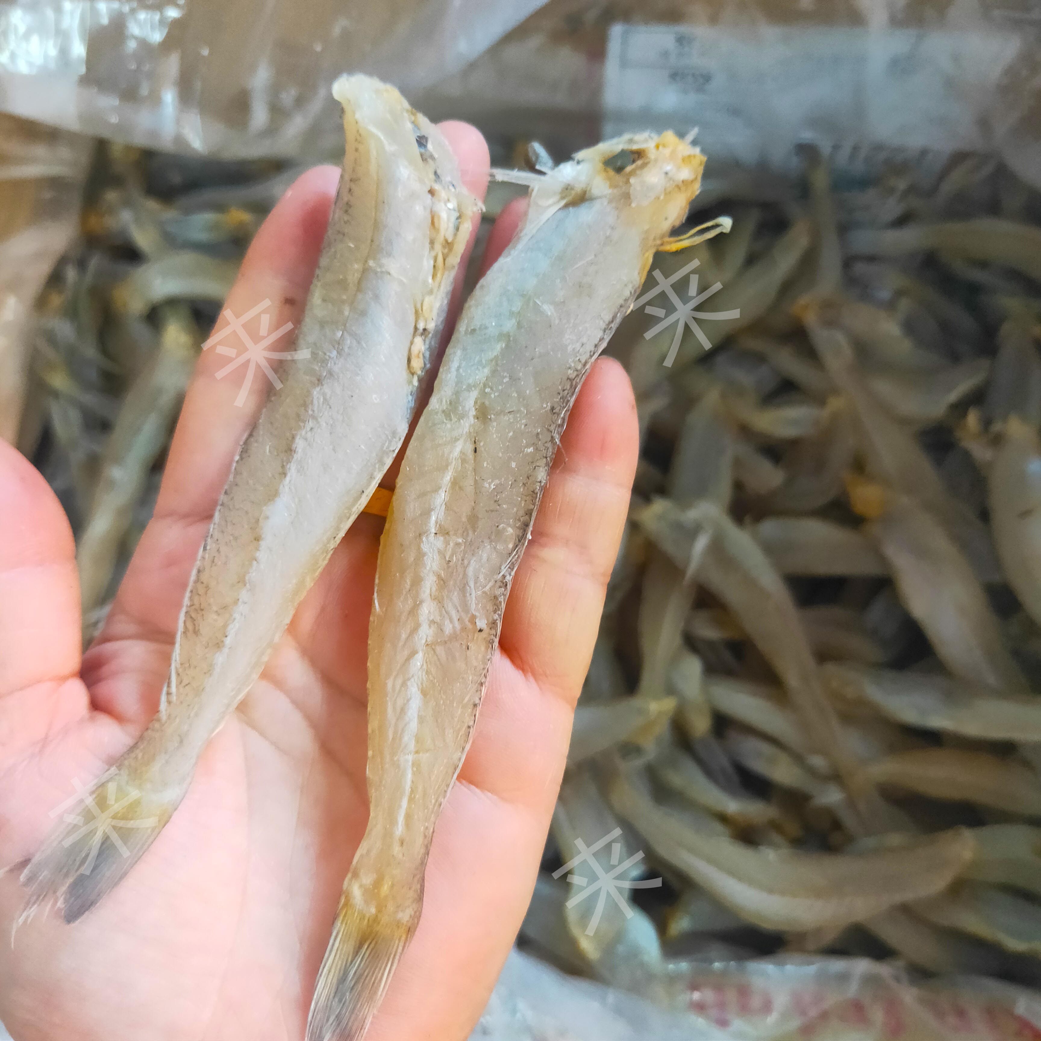 北海特产渔民自晒微咸沙丁鱼干沙箭鱼500g包邮其它