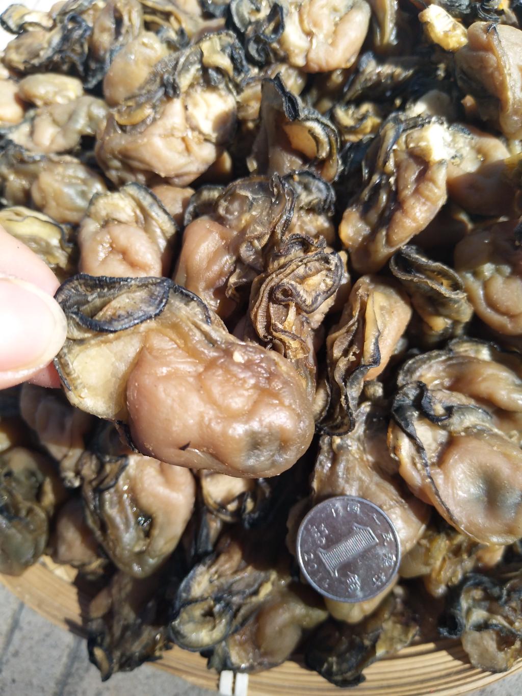 北海特产特价包邮生野生牡蛎干蚝鼓生蚝干500g鱼干