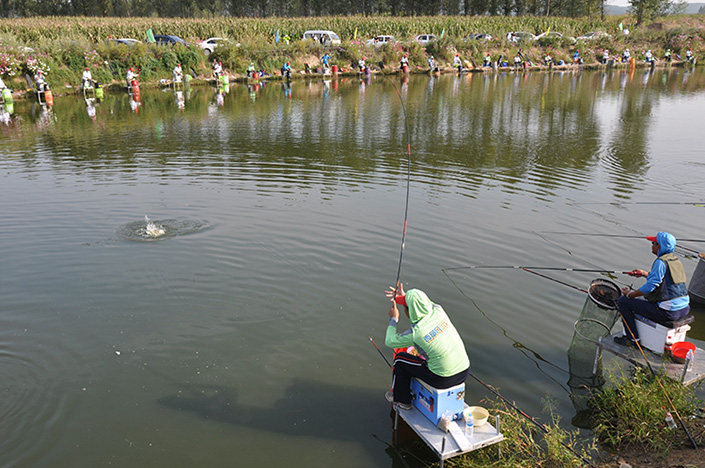 一流品质1000华美钓台加长长腿新款2016铝合金钓台