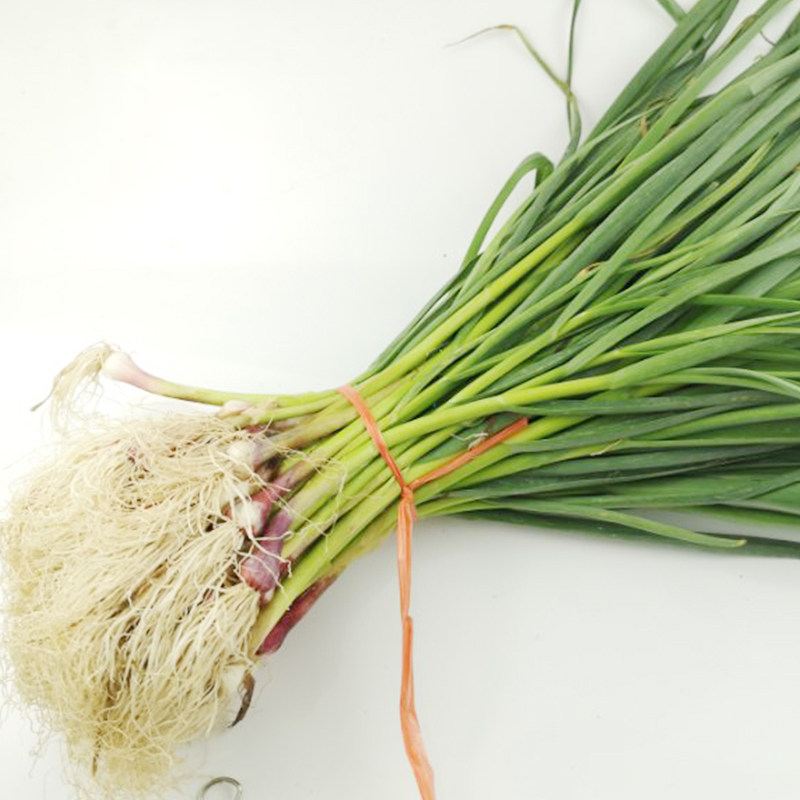 蒜苗新鲜青蒜7斤包邮大蒜香蒜蔬菜其它