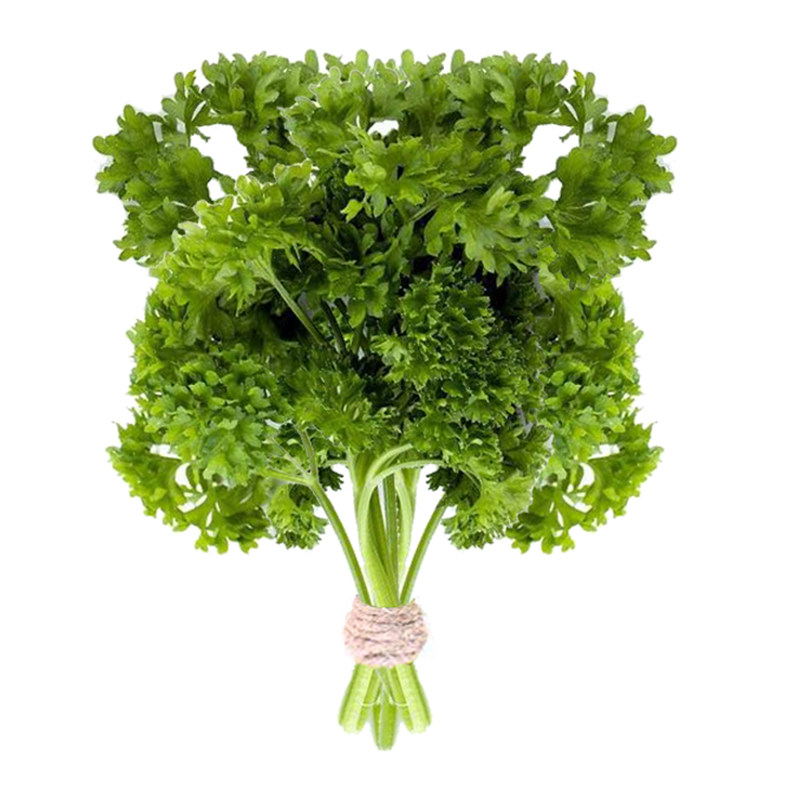 【第二件减10元】新鲜荷兰芹蕃茜洋芫荽法香芹装饰菜5斤冷链包邮