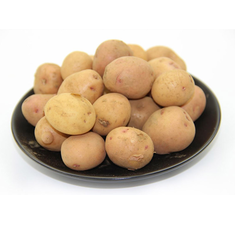 迷你小土豆5斤新鲜云南红皮黄心土豆农家自种高原土豆洋芋马铃薯