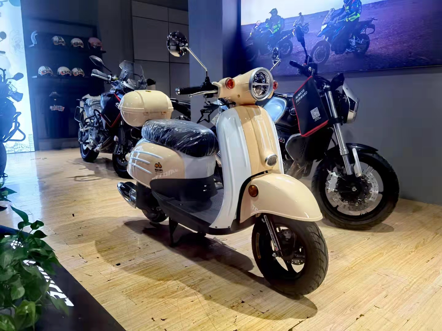 正品 国四电喷正规上牌 建设 复古小绵羊踏板摩托车 u爽柯基小龟王