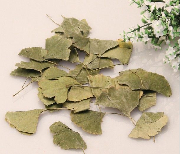 银杏中药材茶叶叶片新货叶茶正品白果叶银杏500g银杏