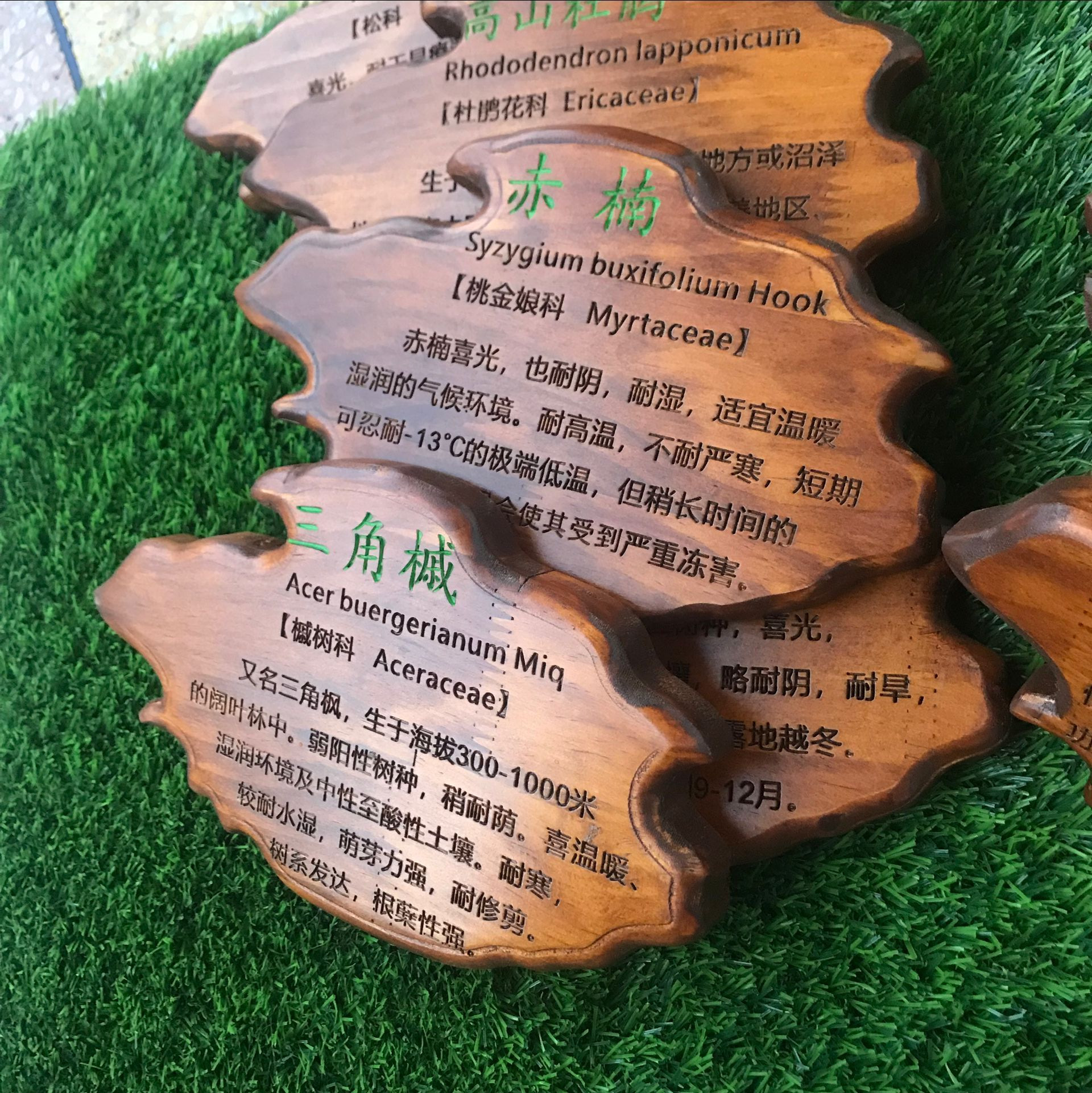 树牌定制实木木质花草牌树木木牌装饰挂牌植物装饰挂牌