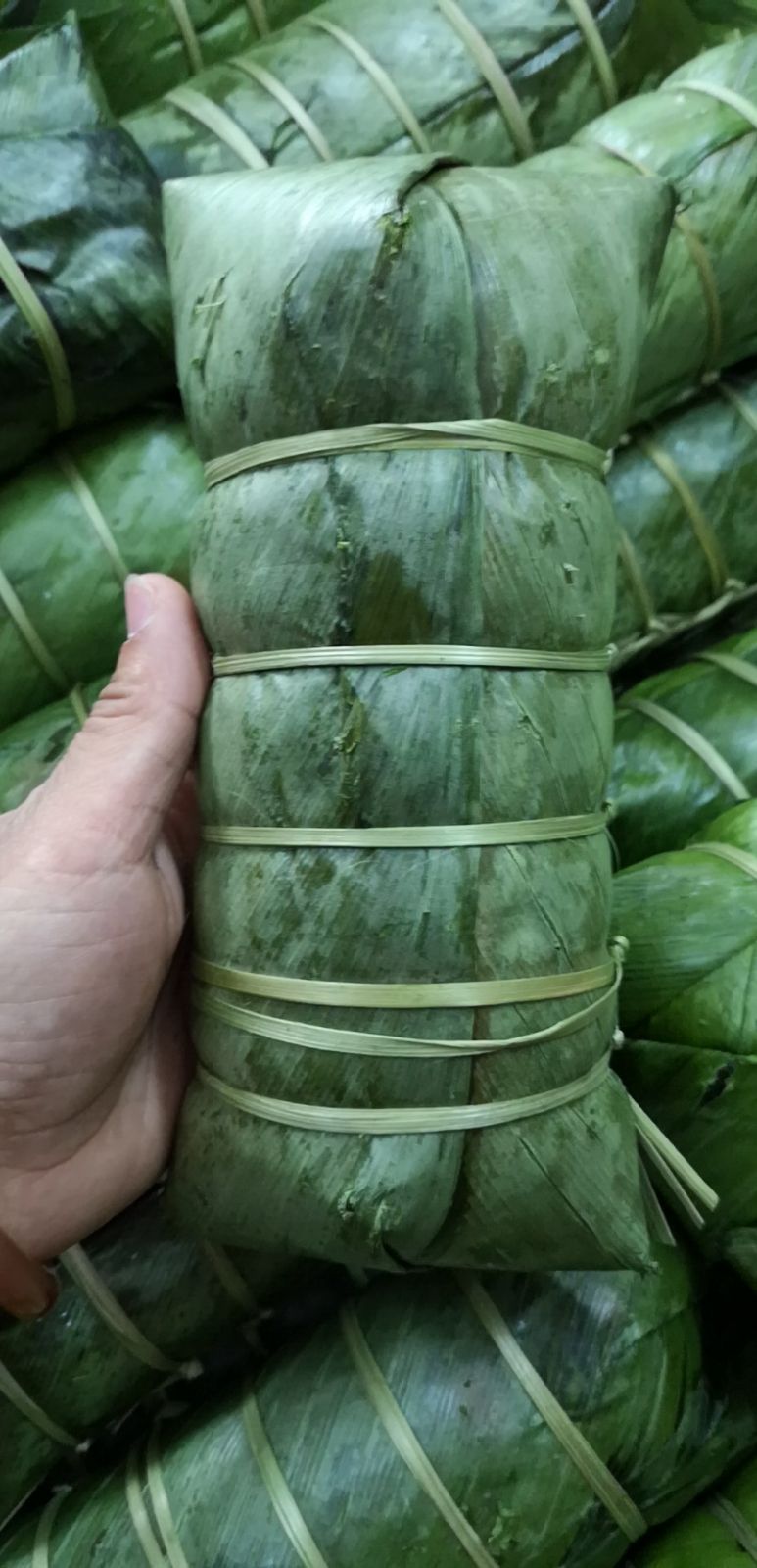 限发云南直销越南新鲜冬叶糯米手工绿豆鲜肉粽子
