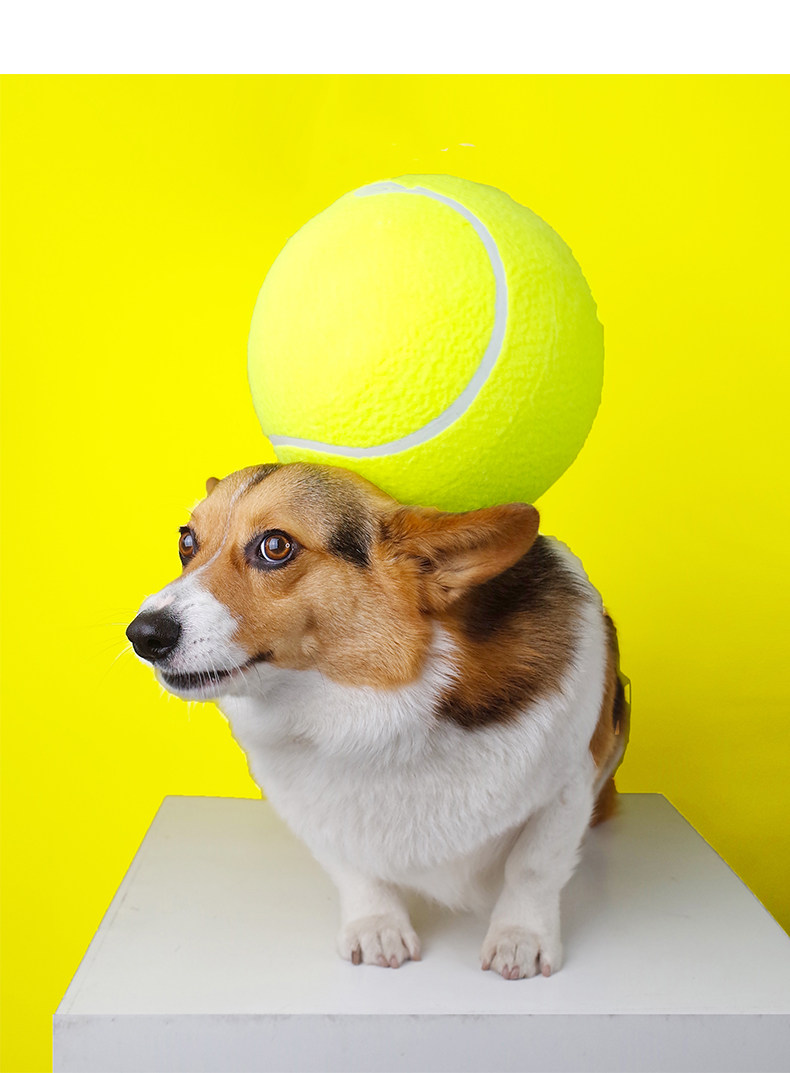 狗狗玩具十倍快乐超大网球24cm充气宠物玩具球柯橡胶球