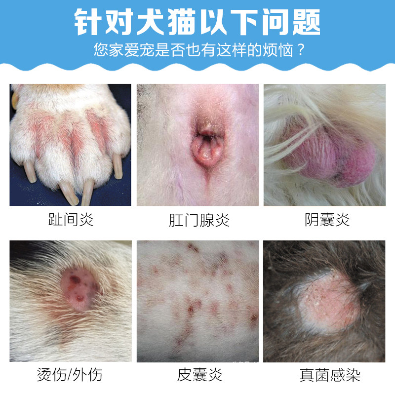 弗尔莱葆银宠康凝胶猫咪黑下巴毛囊炎脚趾间炎狗狗阴囊炎肛门腺炎