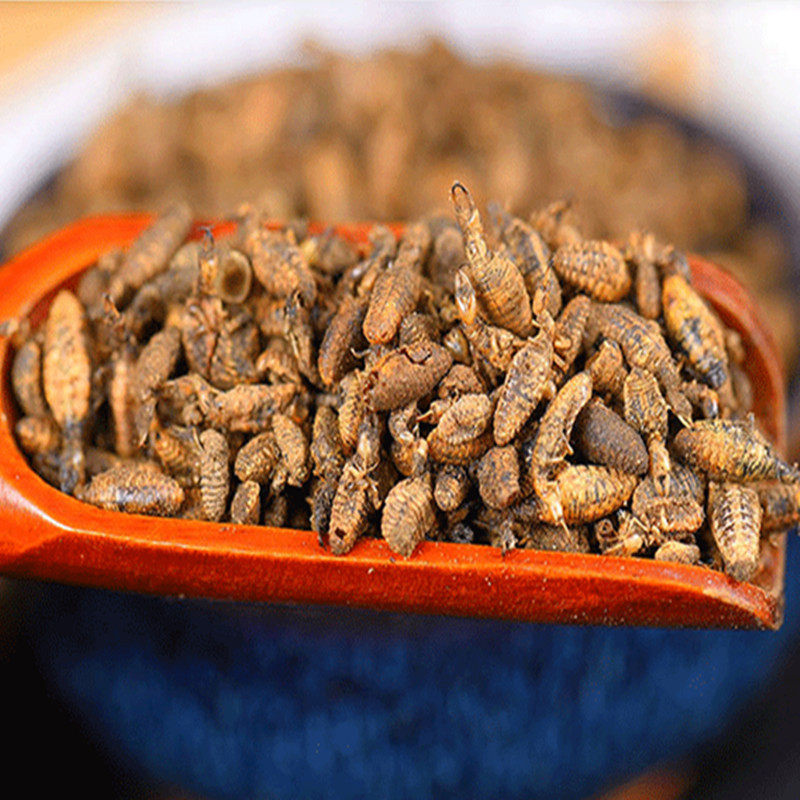 金沙牛新晒野金砂牛中药材蚂岭虫5g地牯牛蚁狮无杂质包邮