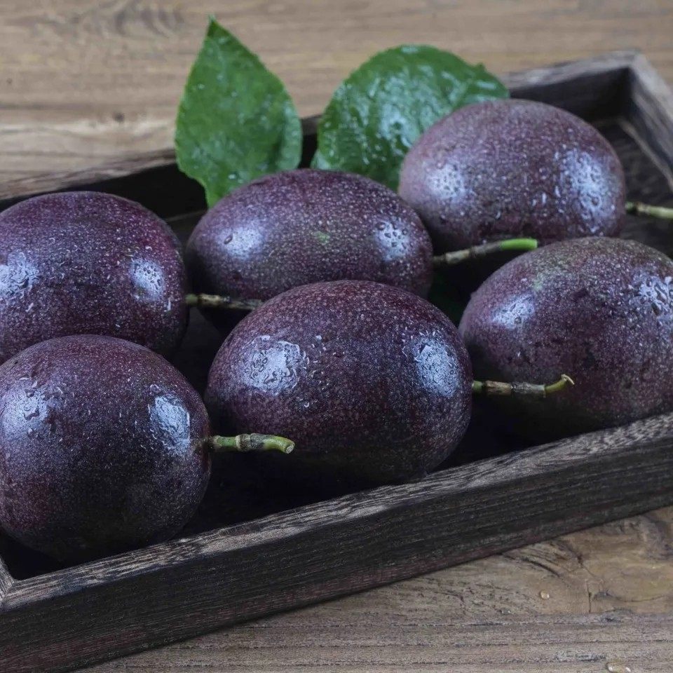 云南高山紫香百香果紫皮新鲜应季热带水果大果现摘百香果