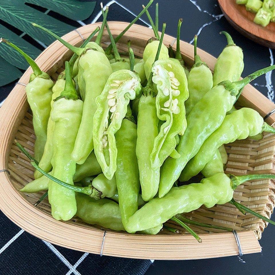 云南建水野山新鲜白泡椒超辣辣椒小米椒朝天椒指天辣椒