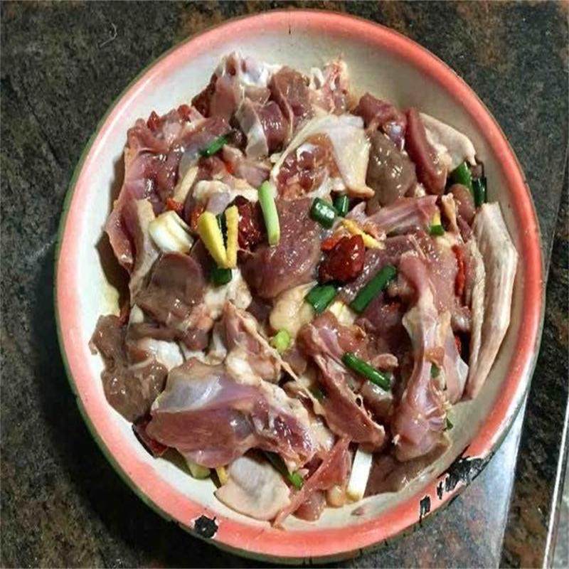 水鸭老鸭土鸭养青头老农家放养五谷杂粮1500克新鲜鸭肉