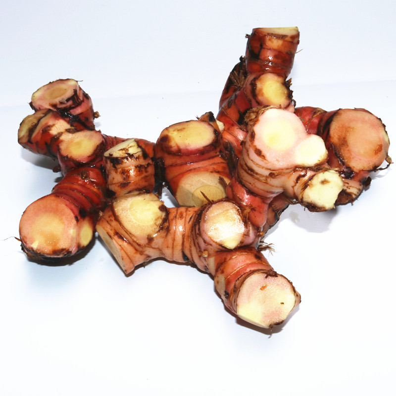 新鲜冬阴牛羊肉芦苇姜芦苇现挖生南潮汕包邮高1斤生姜