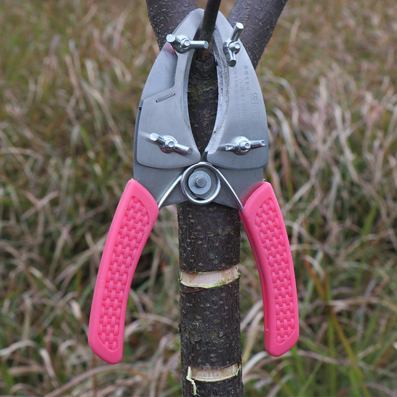 新型果树葡萄荔枝环切环剥剪剥皮剪环剥钳枣树环割刀割树皮剥树皮