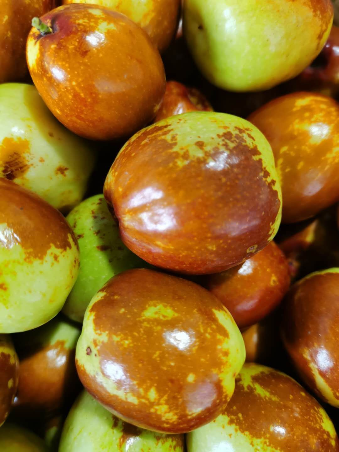 大枣朝阳铃铛枣金铃圆孙家甜脆新鲜大圆凌枣枣