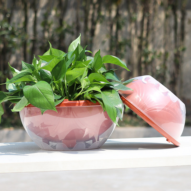 绿萝专用花盆储水水盆双层树脂套盆塑料吊兰花盆