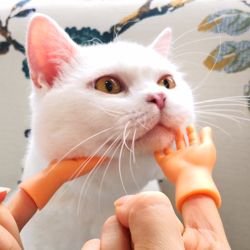 小手手指撸猫套逗手套玩具猫咪迷你假手小猫逗猫棒