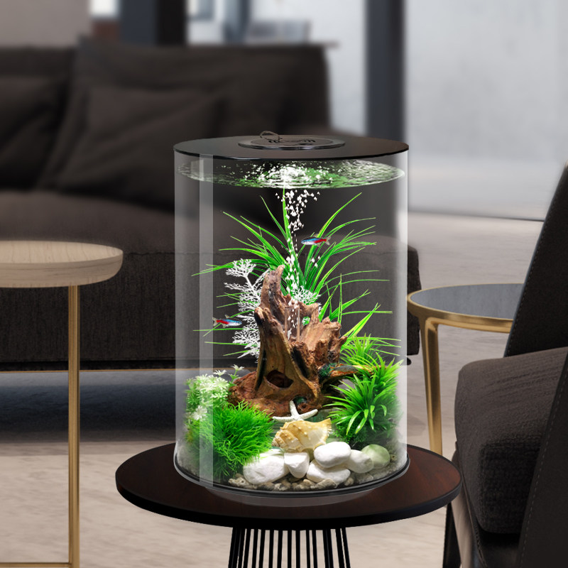 鱼缸热带懒人金鱼缸水族箱生态换水桌面客厅小型鱼缸