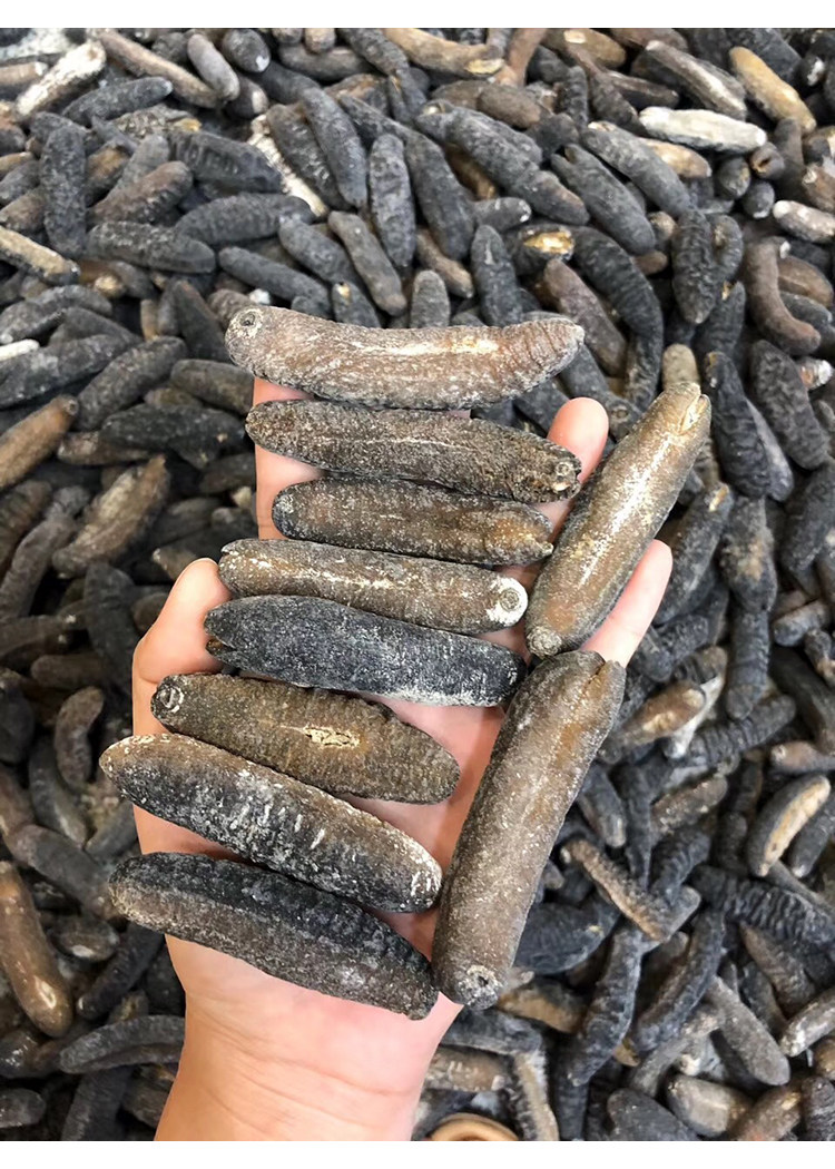 野生35头非洲明秃深海淡干海参干货正品孕妇海参