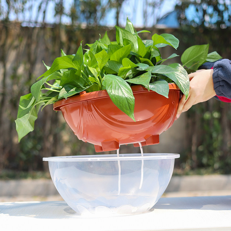 花盆绿萝储水水盆双层树脂套盆塑料吊兰圆形花盆