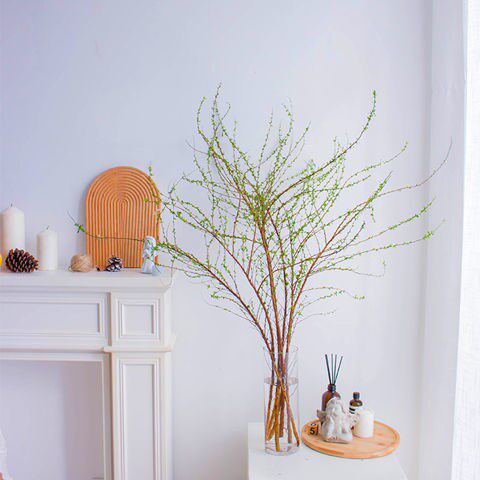 雪柳鲜枝插花家庭水养鲜花春节客厅书房简约空气净化剂