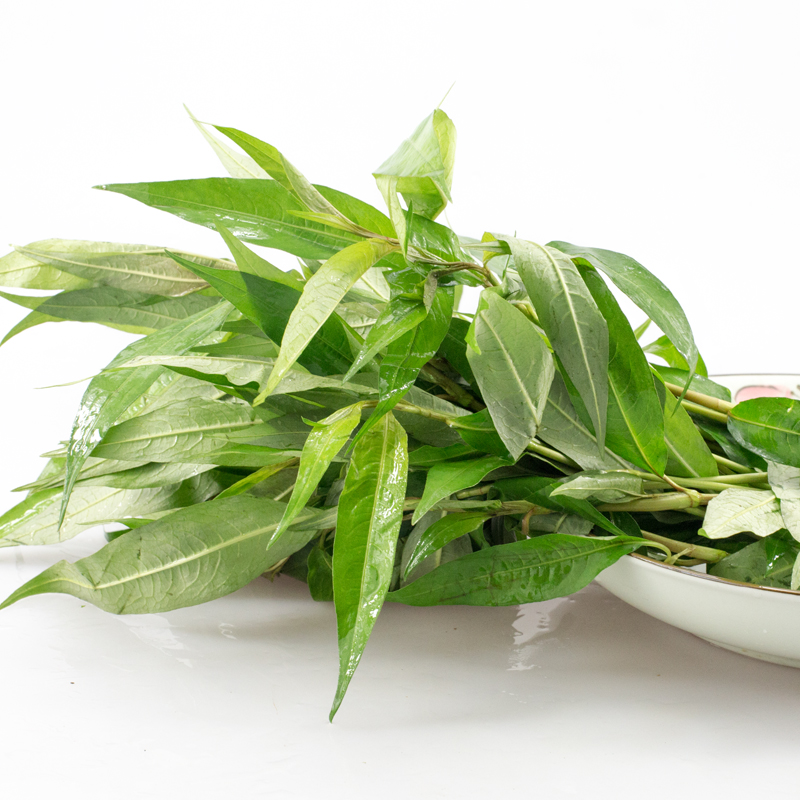 云南特产新鲜柳叶香辣香柳傣味泰国调料1斤叶菜类