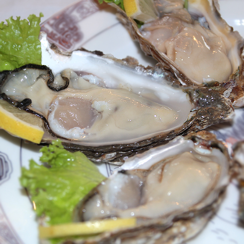乳山牡蛎生吃蚝刺身生蚝海产蛎黄顺丰包邮鲜活发货海鲜产地直发