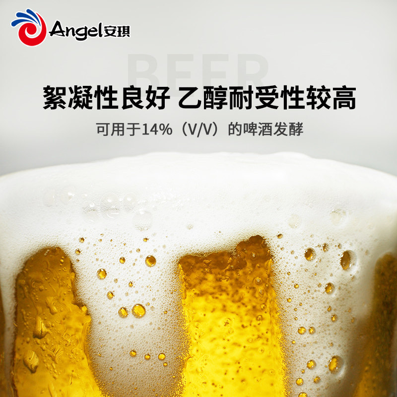 安琪啤酒活性干酵母cs31甜世比利时艾尔原料水果酵母粉