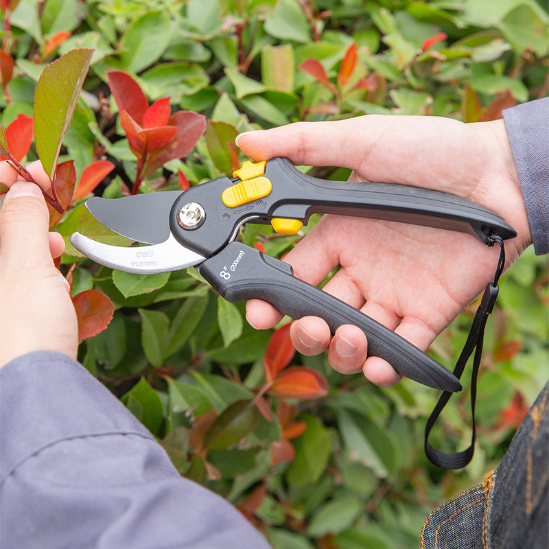 得力修枝剪果树园林剪刀家用果枝剪园丁剪修花剪枝工具省力大剪子