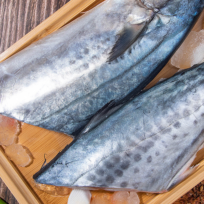 马鲛鱼鲜活冷冻4斤23条小大鲅鱼鲐鲅新鲜燕鲅海马鲛鱼