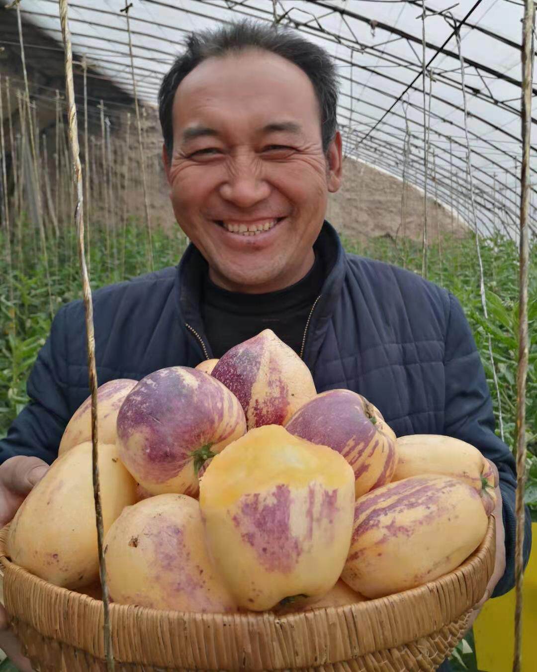 甘肃民勤人参果大果新鲜当季低糖水果整箱人生人参果