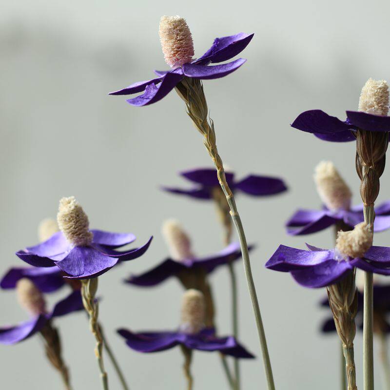 千语千家紫罗兰文艺清新会所装饰摆设艺术干花干花