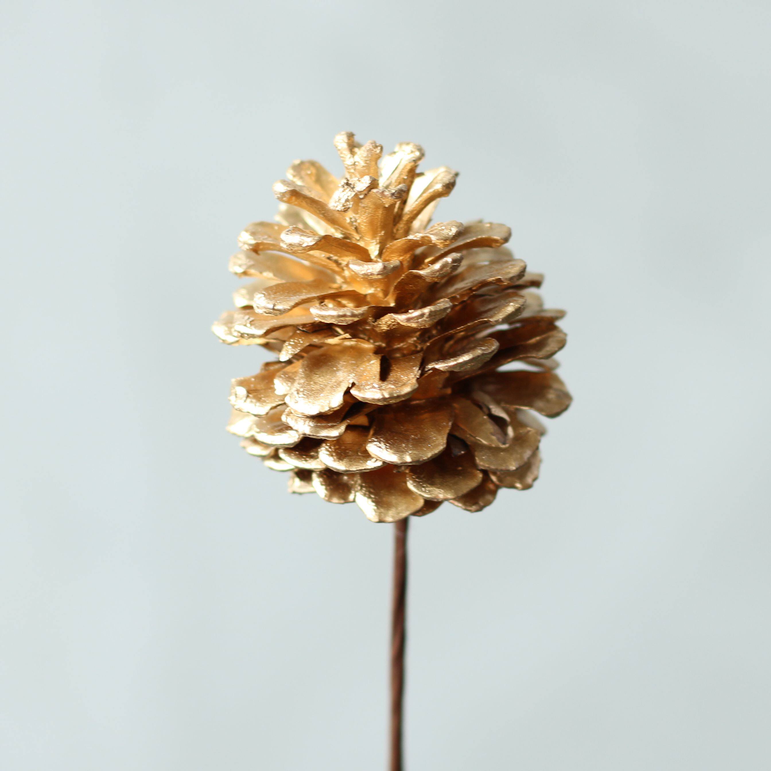 【松果单枝】天然家居装饰复古摆件干花干果拍摄道具背景松果枝