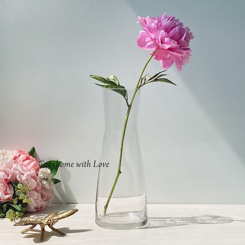 cozyhome日式小清新一枝花透明玻璃花瓶康乃馨单只餐桌花瓶
