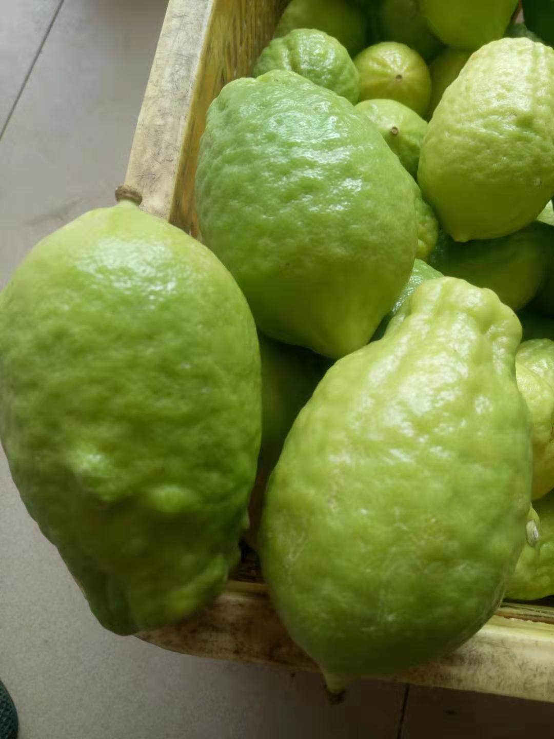 广东无籽香水柠檬新鲜二级花皮果特价果香味浓奶茶饮品店用5包邮