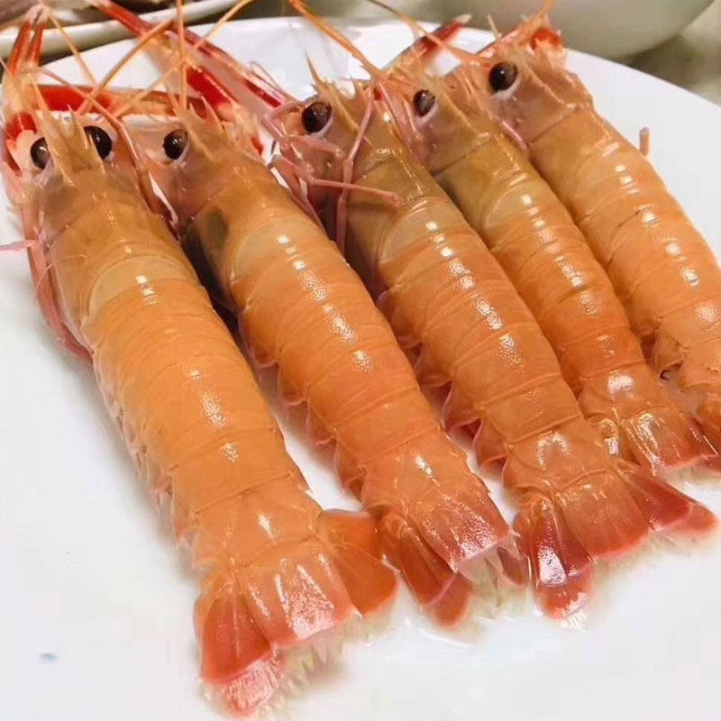 舟山海鲜深海野生海鳌虾东海龙虾新鲜船冻白灼刺冻虾