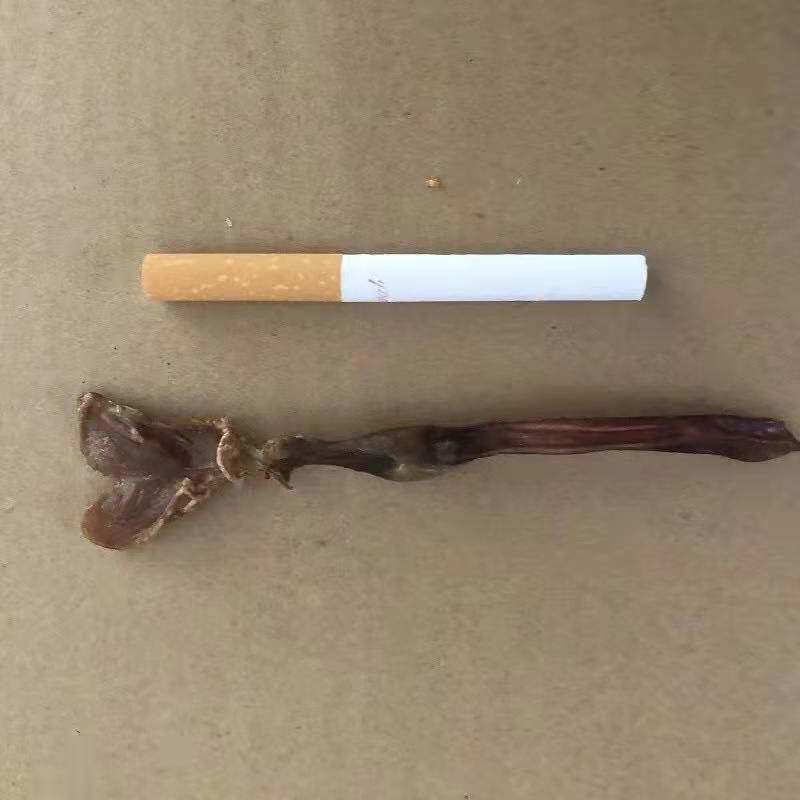 中药材兔鞭一条内有蛇鞭驴鞭牛鞭貂鞭狐狸鞭男其他药食同源食品