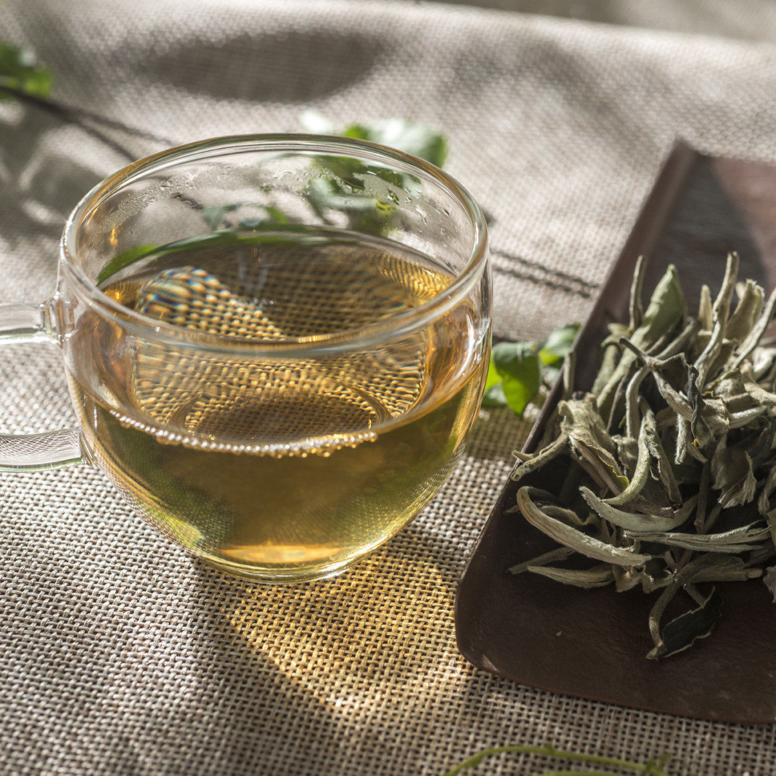 谷瑜白桃100g云南白茶家庭装景迈山大树春茶其它白茶