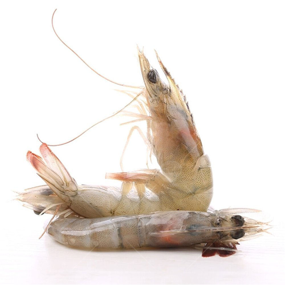 采极进口厄瓜尔多白虾基围虾冷冻野生南美美白虾类制品