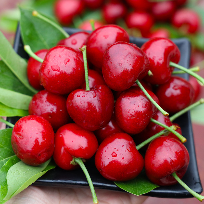 樱桃水果新鲜山东烟台台大车厘子特大5斤10斤车厘子